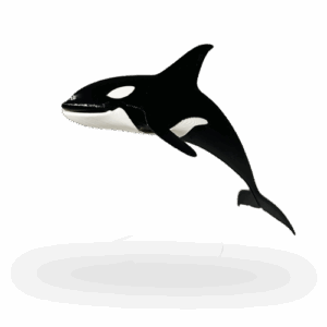 Orka sculptuur